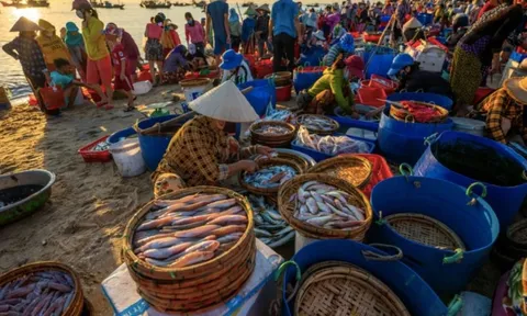 Muốn mua đồ ngon giá hời? Hãy ghim ngay 6 khung giờ đi chợ mà tiểu thương vừa tiết lộ