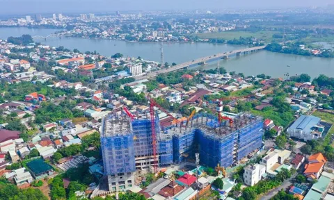 Bộ sưu tập Upgrade Collection – Nâng tầm trải nghiệm, nhân đôi lợi nhuận