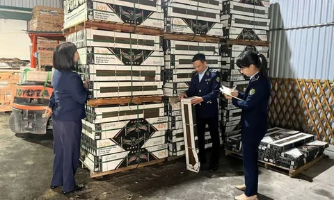 Phát hiện kho gạch ốp lát quy mô lớn không rõ nguồn gốc trị giá hàng trăm triệu đồng tại phường Thái Bình