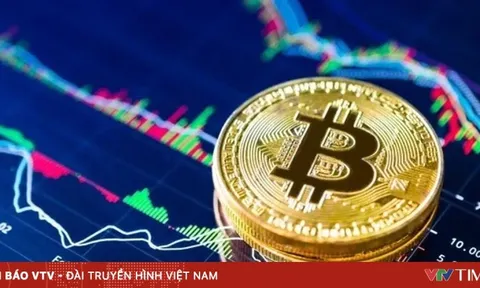 Tiền mã hóa mất 1.000 tỷ USD vốn hóa