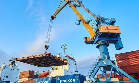 Nhóm Viconship nâng sở hữu lên gần 24% vốn tại Xếp dỡ Hải An