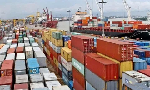 Gần 500 container chè Việt Nam thoát cảnh mắc kẹt ở Pakistan