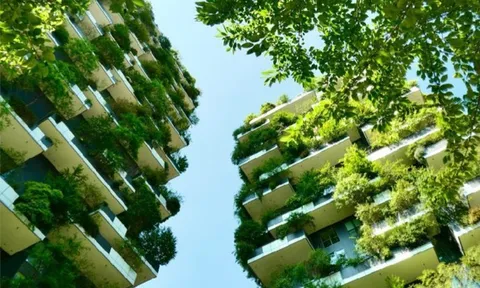 Sơn và chất phủ bền vững: Đòn bẩy tăng giá trị công trình