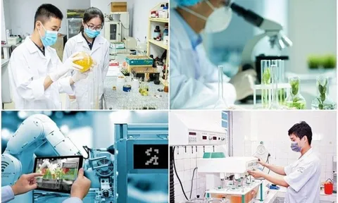 Nâng cao năng lực cho các tổ chức nghiên cứu khoa học, phát triển công nghệ công lập