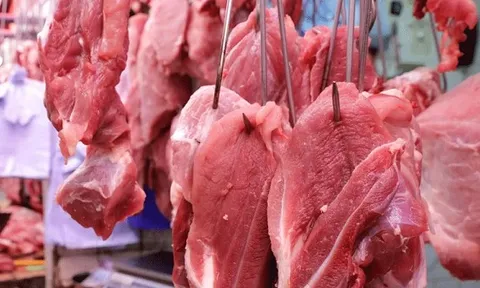 Mặt hàng nào khiến Việt Nam chi tới 1,8 tỷ USD, Ấn Độ là nguồn cung số một?