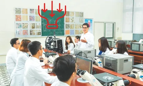 Việt Nam đặt mục tiêu sở hữu 50.000 kỹ sư ngành công nghiệp bán dẫn vào năm 2030