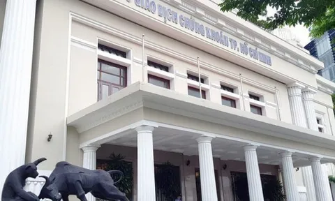 Những tân binh nào chào sàn HoSE đầu năm 2026?