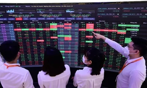 Công khai người hành nghề chứng khoán không hoàn thành tập huấn hàng năm