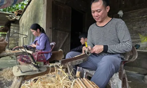 Làng làm đũa cau tất bật vụ tết 