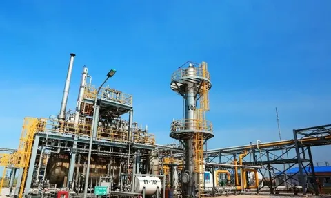 Sau PV GAS, thêm một đại gia dầu khí 2.000 tỷ báo tin không đủ điều kiện là công ty đại chúng