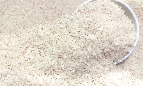 Tháng 3/2026 sẽ bán gạo thay thế loại truyền thống, giá trị dinh dưỡng cao gấp 27%, hợp với người tiểu đường: Giá từ 100.000 đồng/1kg