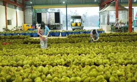 Thái Lan đón tin không vui