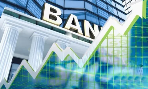 Điều tra của NHNN: Tốc độ tăng trưởng lợi nhuận ngành có thể thấp hơn năm 2025