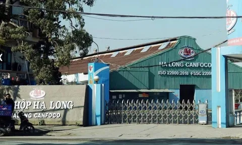 Công ty đồ hộp Hạ Long hoạt động thế nào, ai đang quản lý?