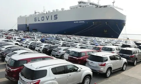 Việt Nam nhập ô tô nhiều nhất từ trước đến nay