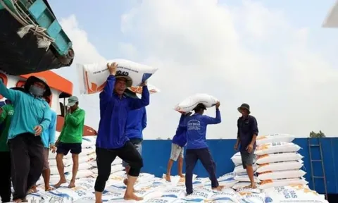 Vì sao Israel là phép thử đẳng cấp mà gạo Việt nhất định phải vượt qua?