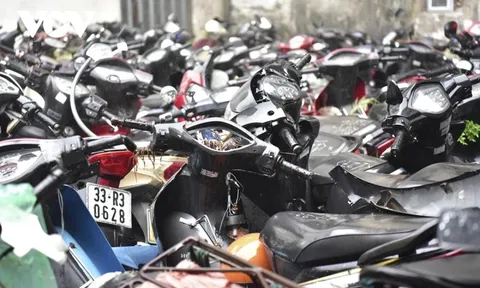 24.343 xe máy vi phạm được bán đấu giá, giá chỉ vài trăm nghìn mỗi chiếc