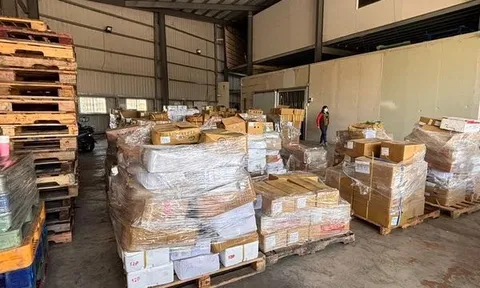 Vì sợ lỗ, chủ công ty 'hô biến' thịt heo quá hạn thành hàng mới, tuồn 9.000 suất qua livestream và siêu thị