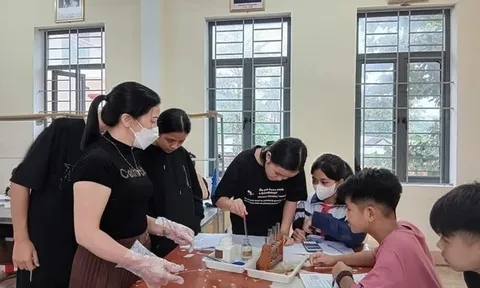 Lương 4,3 triệu gánh đủ việc: Bộ GD-ĐT có động thái quan trọng với nhân viên trường học