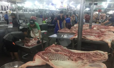 Giá heo hơi hôm nay, 12-1: Giá về chợ tiếp tục tăng cao