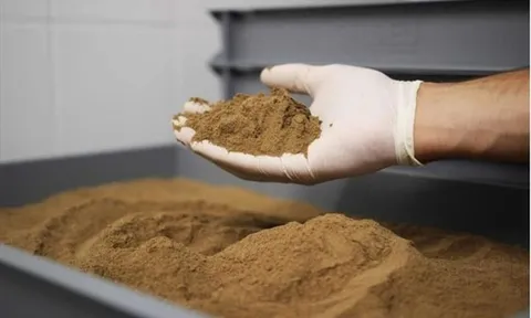 Không chỉ 'ôm trọn' thị trường toàn cầu, Trung Quốc còn bao thầu 90% món phế phẩm này từ Việt Nam