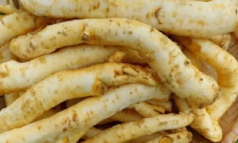 Loại cây trồng đầy vườn bỗng thành món mứt lạ ngày Tết, giá hơn nửa triệu đồng/kg vẫn hút khách