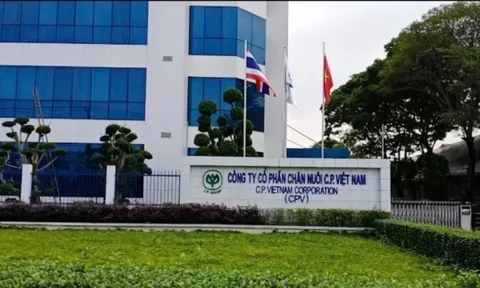 Thanh tra ba 'ông lớn' cung cấp thịt sạch, thức ăn chăn nuôi