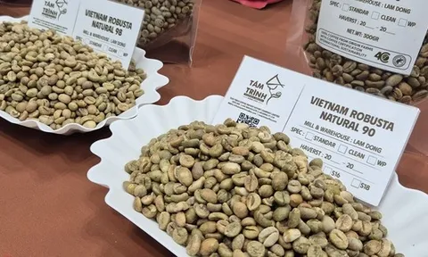 Giá cà phê hôm nay 16-1: Tăng 4 phiên liên tục, Robusta vượt mốc 4.000 USD/tấn