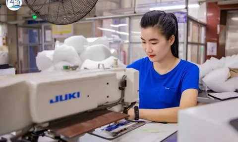 Nhờ đâu TNG đạt lợi nhuận quý 4 tăng 50% so với cùng kỳ?