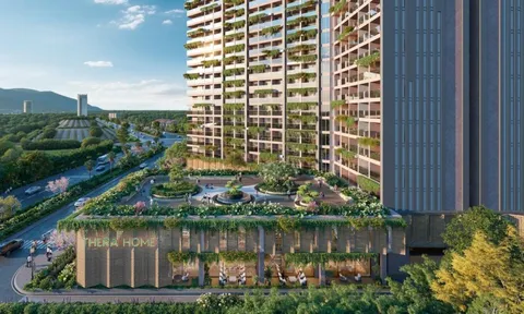 Khai thác bất động sản chăm sóc sức khoẻ: khác biệt cốt lõi tạo lợi nhuận bền vững