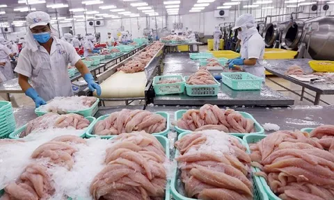 'Mỏ vàng dưới nước' của Việt Nam mang về gần 11,3 tỷ USD trong năm 2025