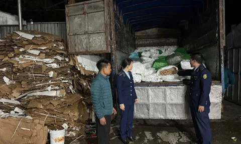 Chặn đứng hơn 3 tấn chân gà đông lạnh và 720 kg củ cải muối không hoá đơn