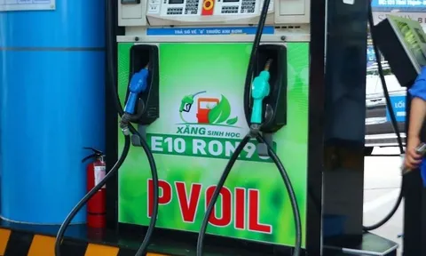 Nguy cơ xăng E10 thành 'hàng giả' bất đắc dĩ trước khi bán đại trà