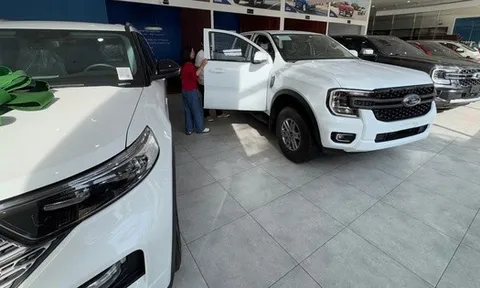 Xe bán tải sôi động trước sóng tăng giá