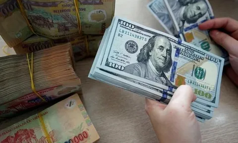 Tỷ giá USD hôm nay 19/1: Ngân hàng đi ngang, thị trường tự do tăng