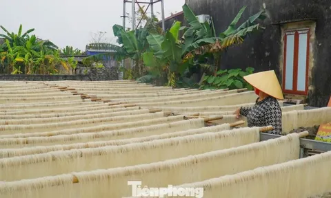 Làng miến gạo trăm năm tuổi nổi tiếng xứ Thanh tất bật vào Tết