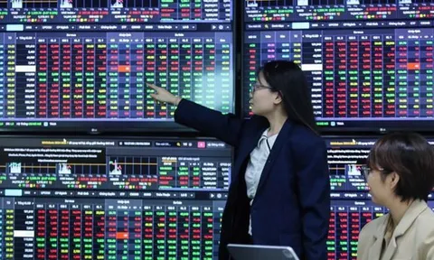 Loạt công ty chứng khoán báo lãi kỷ lục năm 2025