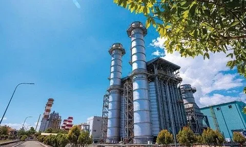 PV Power tiếp tục chào bán hơn 4 triệu cổ phiếu ‘ế’ cho 62 cá nhân