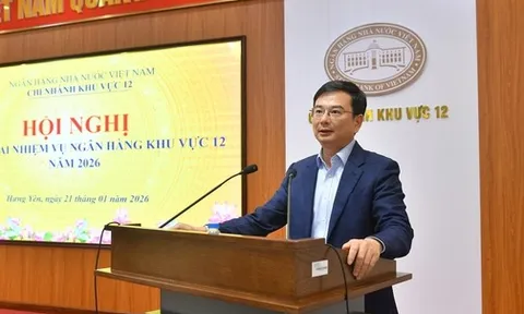 Dự nợ tín dụng khu vực 12 tăng 22,7% trong năm 2025