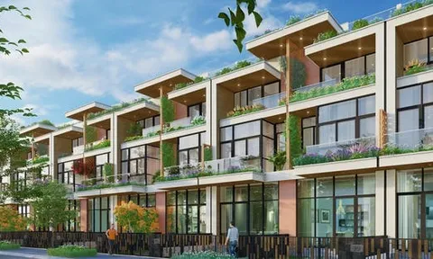 Trong năm 2025, giá giao dịch biệt thự, liền kề tăng