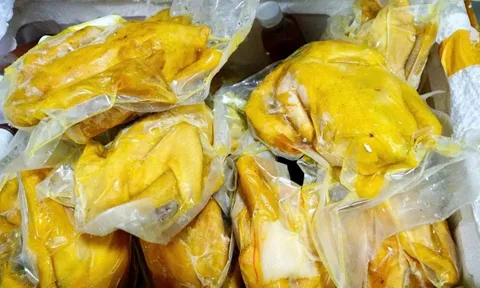 Chở hàng trăm túi chân gà, gà ủ muối tuồn ra thị trường Thái Nguyên: Lời khai của T.V.T. gây sốc