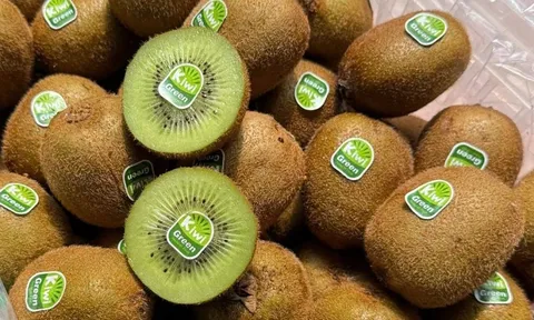 Kiwi Trung Quốc được bán tràn lan với giá rẻ 'chạm đáy'