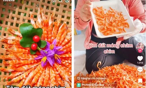 Mua bán hàng tết trên mạng sôi động hơn trong siêu thị