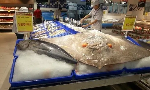 Người Việt lọt top chi nhiều tiền nhất Đông Nam Á để ăn loại cá ‘cao cấp’ này