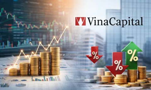 Bức tranh tài chính VinaCapital 2025: AUM tăng mạnh, biên lợi nhuận thu hẹp
