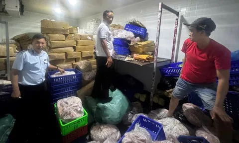 Kiểm tra đột xuất kho thực phẩm, phát hiện 744kg thịt cá đông lạnh không nguồn gốc