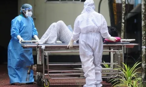 Bộ Y tế khuyến cáo người dân không ăn loại trái cây có dấu hiệu này để phòng ngừa virus Nipah