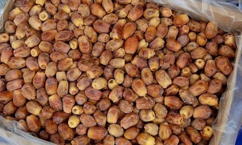 Cảnh báo từ chuyên gia: Loại quả bán tràn lan dịp Tết ở Việt Nam là đồ ăn ưa thích của loài dơi mang virus Nipah