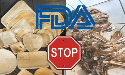 FDA cấm chén đĩa mo cau nhập khẩu vào Mỹ? Sự thật là gì, doanh nghiệp xuất khẩu mo cau Việt cần làm gì để tránh nguy cơ mất trắng