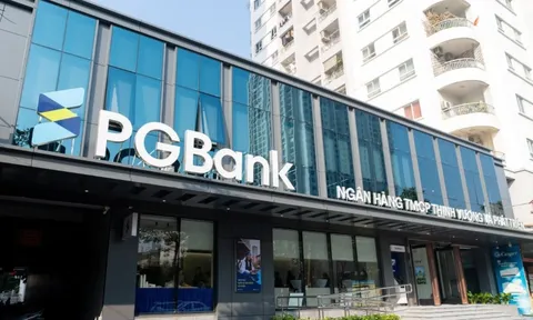 Hé lộ 11 nhà đầu tư cá nhân đăng ký mua 127 triệu cổ phiếu PGBank